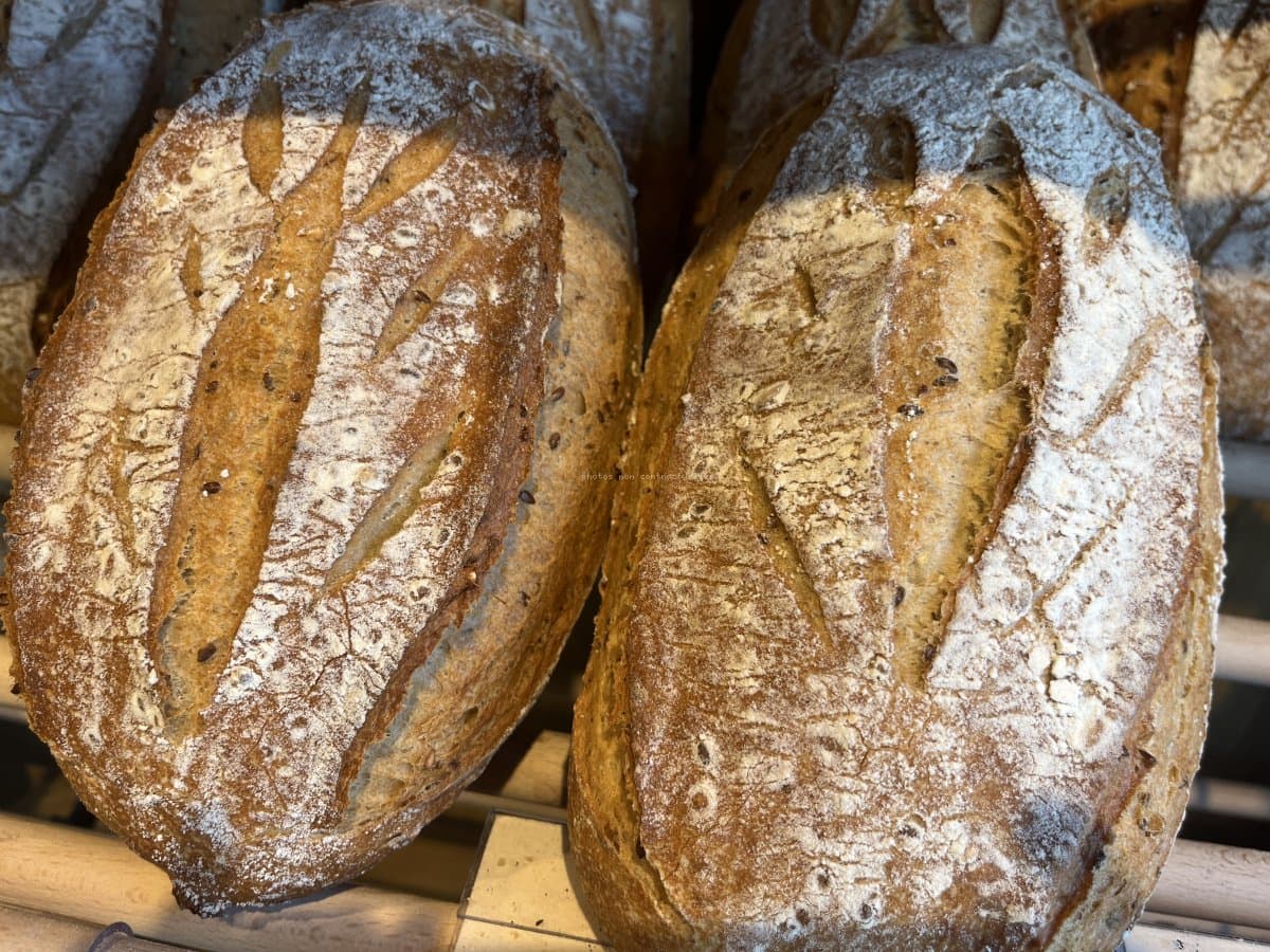 Céréales (farine Bio)