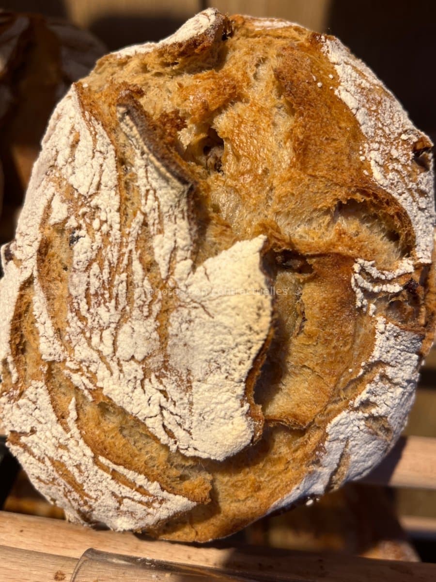 Pavé Seigle aux noix (farine Bio 400g)