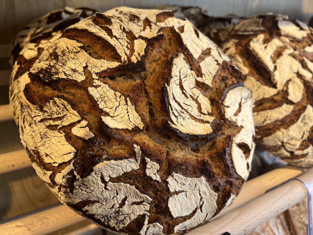 Tourte de Seigle (farine Bio)