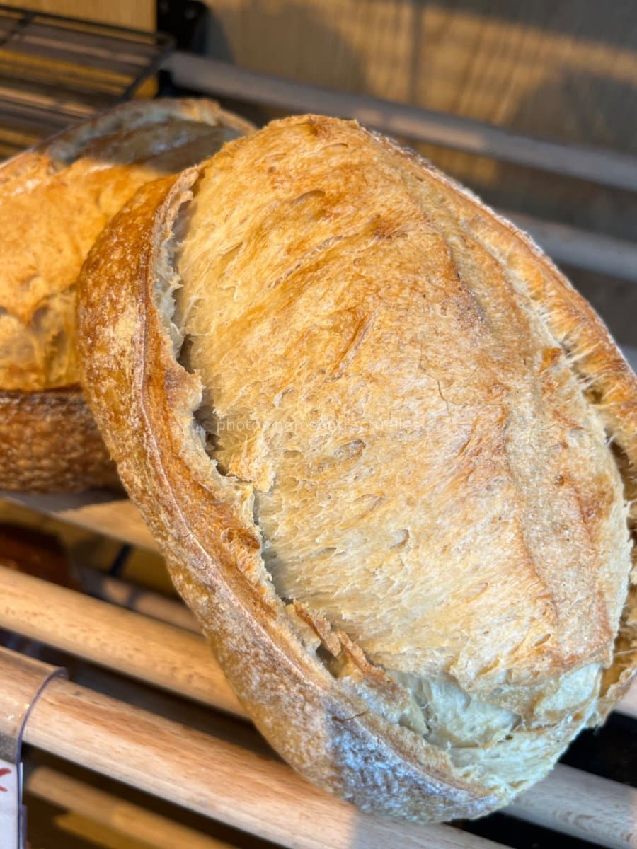 Pain levain blanc (farine Bio 600g)