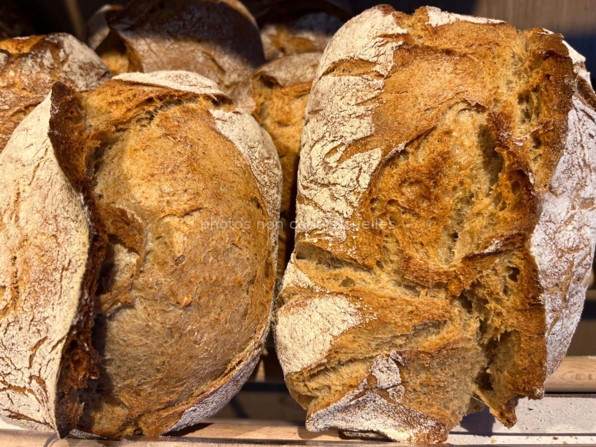 Pavé de Seigle (400g)